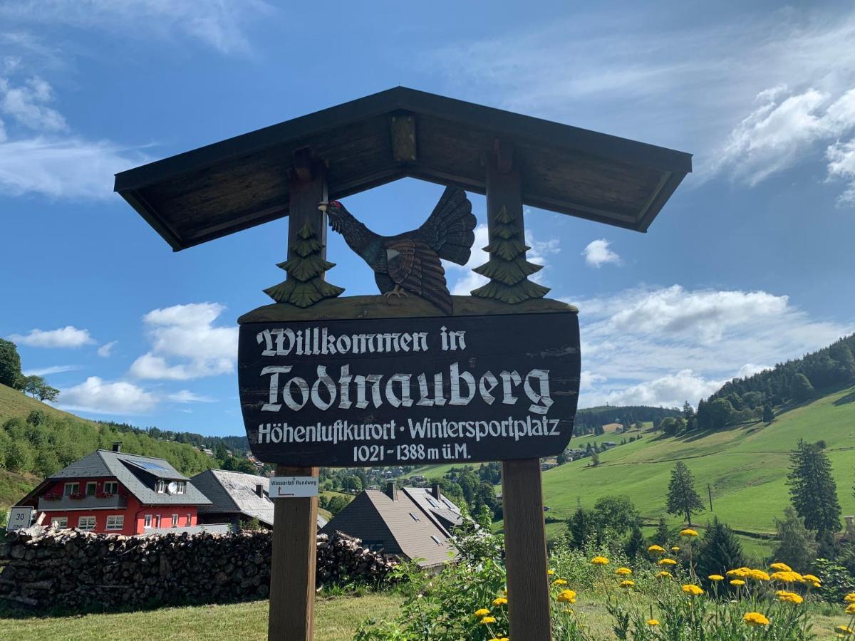 Residenz Schauinsland Todtnauberg - Fewo 17 - Sauna - Spielzimmer Fuer Kinder - Naehe Feldberg Dış mekan fotoğraf