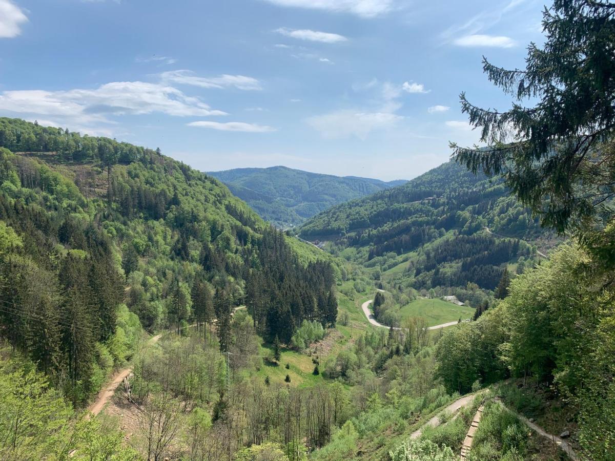 Residenz Schauinsland Todtnauberg - Fewo 17 - Sauna - Spielzimmer Fuer Kinder - Naehe Feldberg Dış mekan fotoğraf