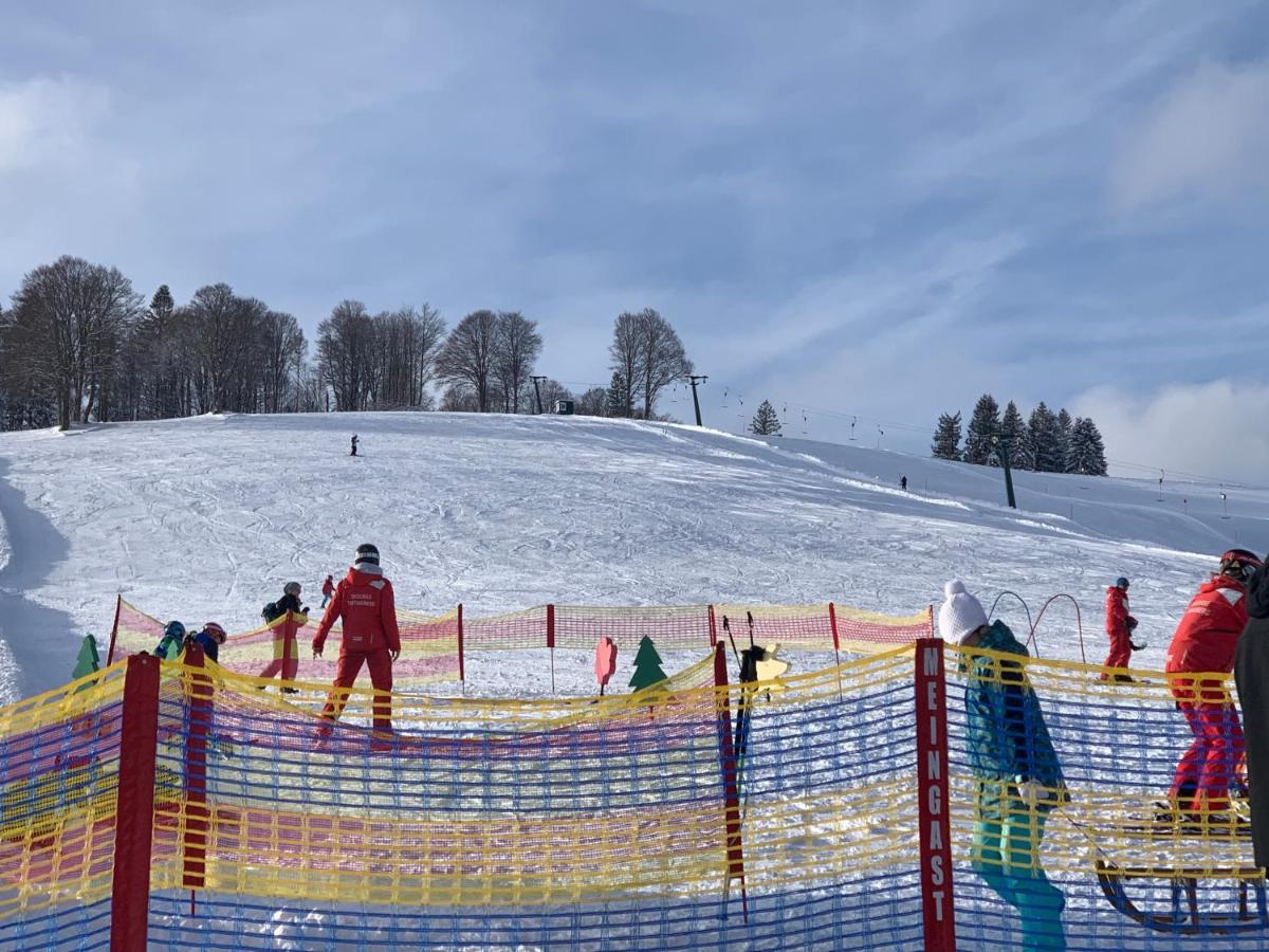 Residenz Schauinsland Todtnauberg - Fewo 17 - Sauna - Spielzimmer Fuer Kinder - Naehe Feldberg Dış mekan fotoğraf