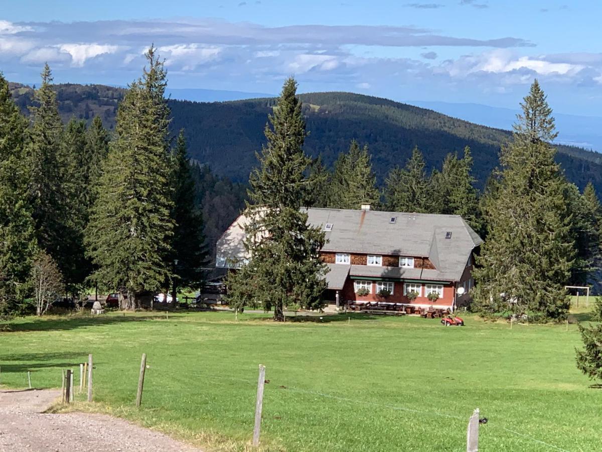 Residenz Schauinsland Todtnauberg - Fewo 17 - Sauna - Spielzimmer Fuer Kinder - Naehe Feldberg Dış mekan fotoğraf