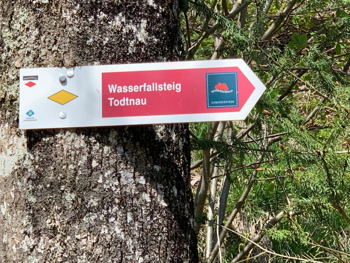 Residenz Schauinsland Todtnauberg - Fewo 17 - Sauna - Spielzimmer Fuer Kinder - Naehe Feldberg Dış mekan fotoğraf