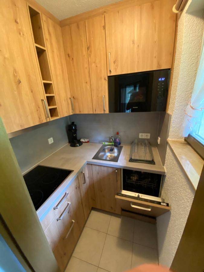 Residenz Schauinsland Todtnauberg - Fewo 17 - Sauna - Spielzimmer Fuer Kinder - Naehe Feldberg Dış mekan fotoğraf